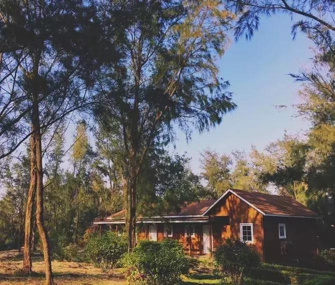 韩国济州岛是一座典型的火山岛,世界有名的火山岛