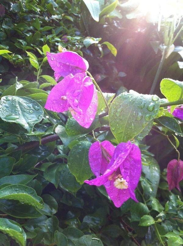 大宝二宝三亚游,三亚三妈游玩攻略