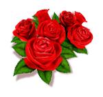 儿童换新牙长歪了怎么办,一不小心把牙给弄断了怎么办