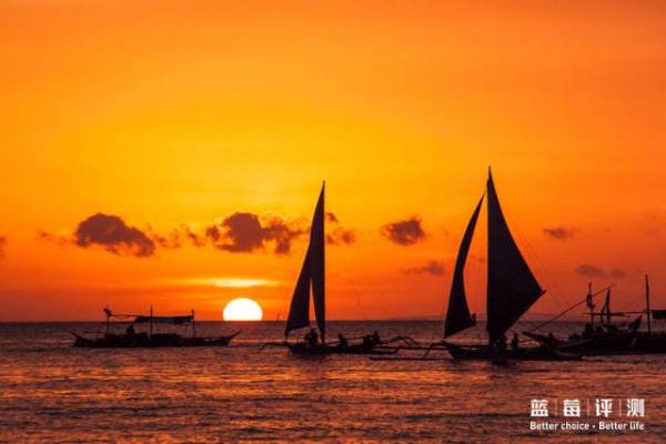 蓝莓评测美国蓝莓,蓝莓评测