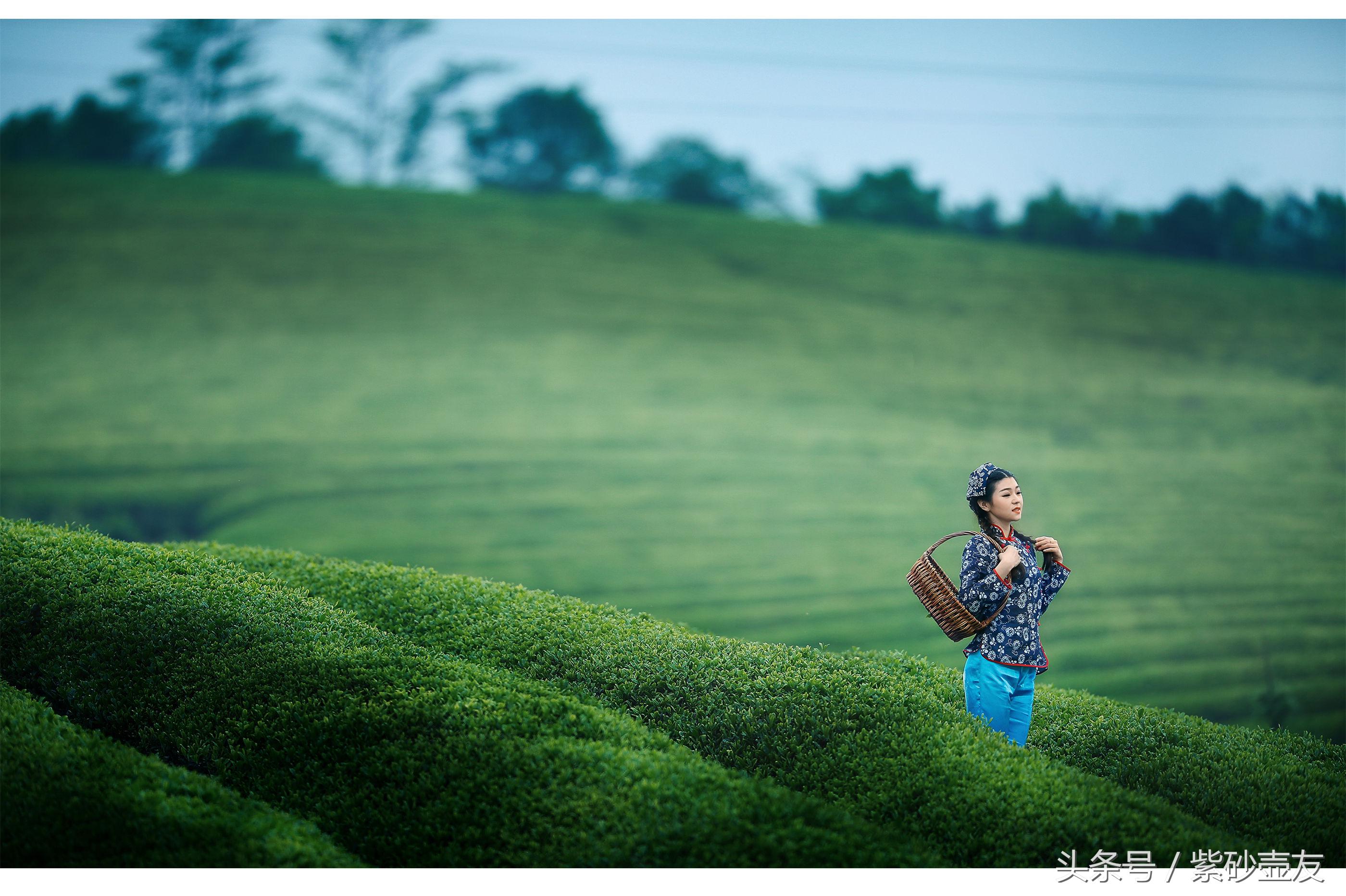 匠意丨茶意生活，茗醉江南！