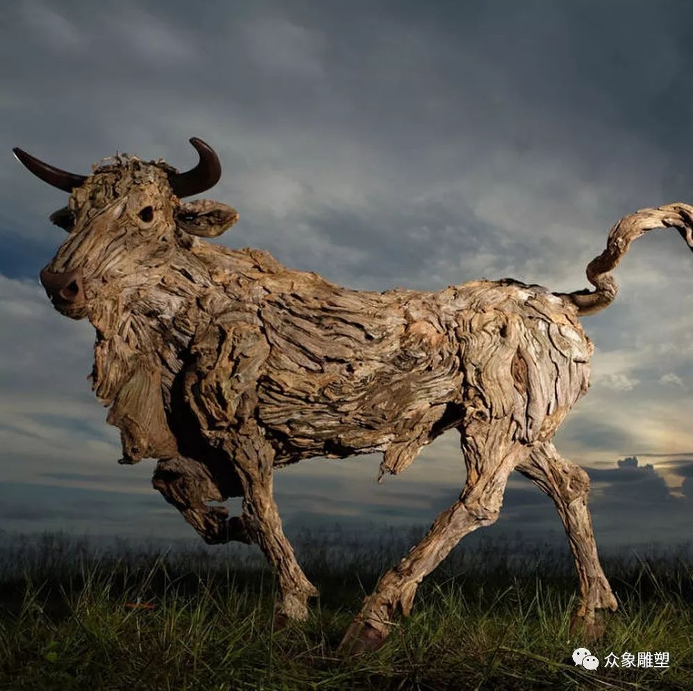 朽木可雕琢,朽木可雕