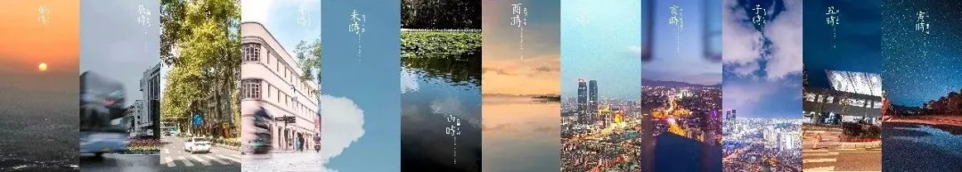 云南奇葩,云南奇葩视频