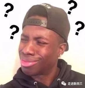 涓浗浜哄湪鏂拌タ鍏拌娴锋氮鍗疯蛋,鏂拌タ鍏颁汉鎬庝箞鏍蜂簡