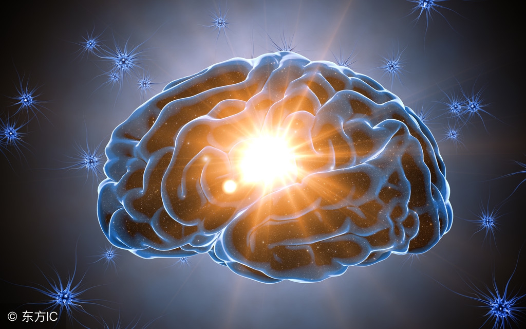 年纪越大越不记事，年龄对神经系统的影响