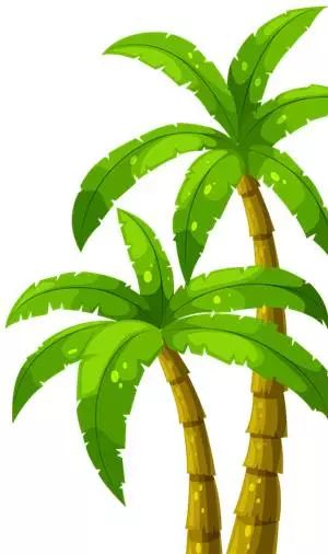 认识二进制小学,认识二进制的教学设计