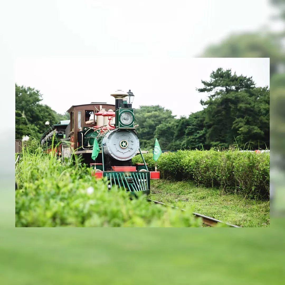 济州岛离岛游玩攻略,济州岛自驾游vlog攻略