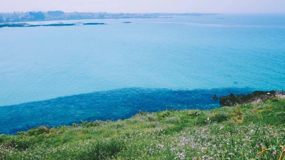 济州岛离岛游玩攻略,济州岛自驾游vlog攻略