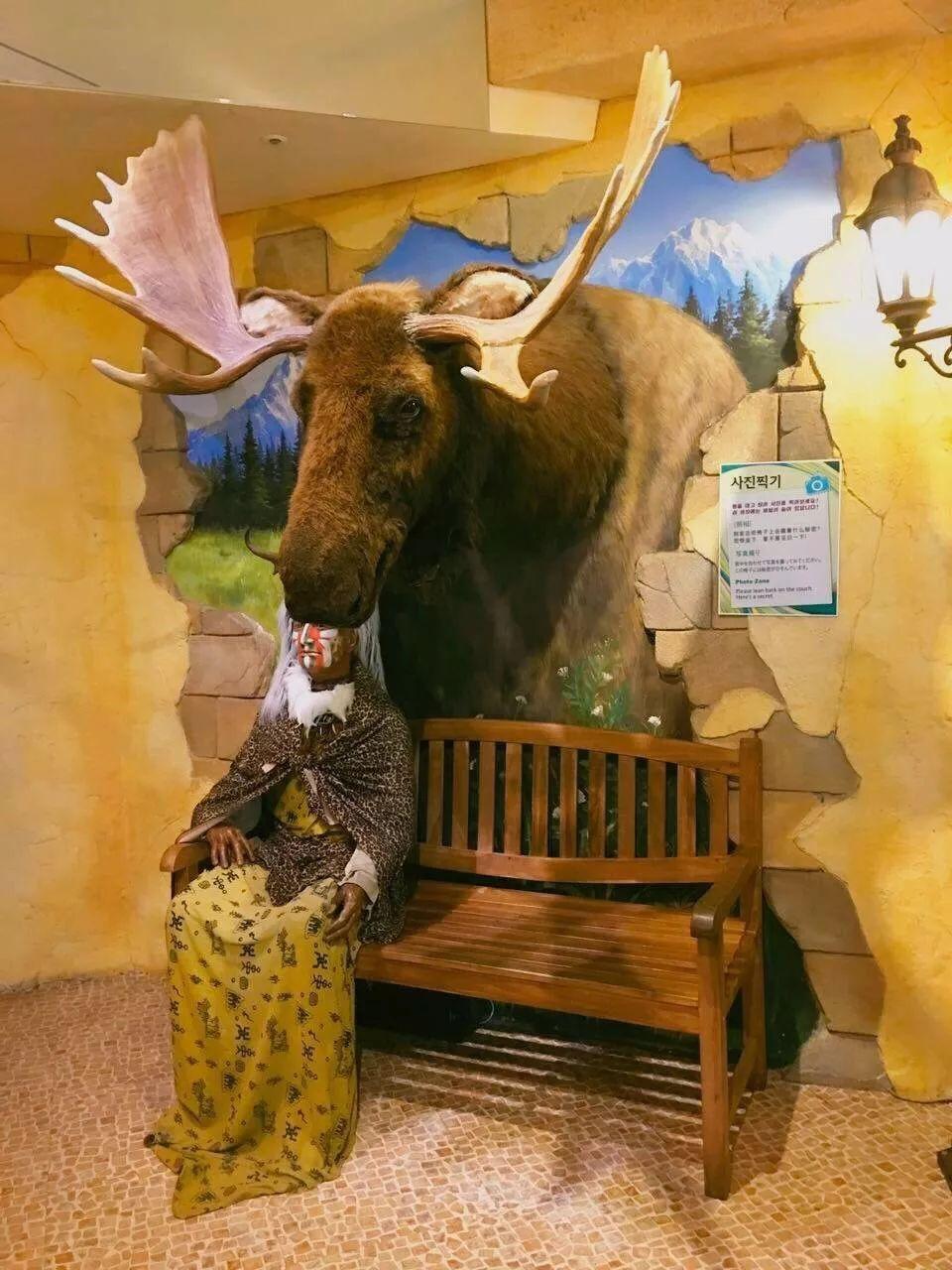 济州岛离岛游玩攻略,济州岛自驾游vlog攻略