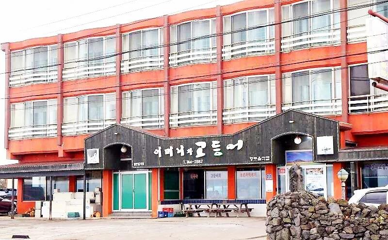 济州岛出游攻略视频大全,济州岛旅行避坑攻略最新