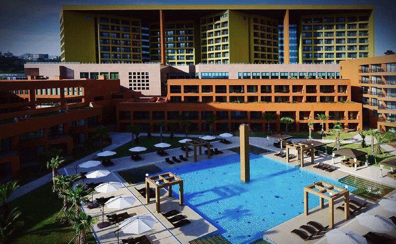 济州岛出游攻略视频大全,济州岛旅行避坑攻略最新