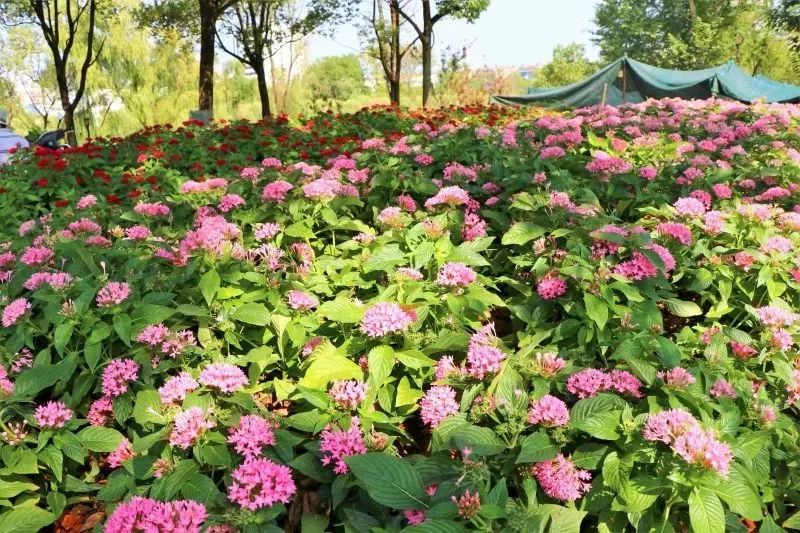 终于等到你的另一种表达,终于等到你内在的含义