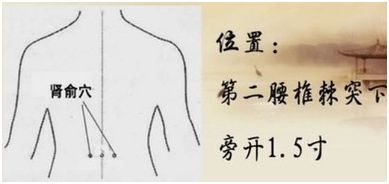 女人腰痛吃什么最好效果最快,女人腰痛腿脚酸软无力是什么原因