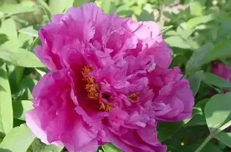 8.8发财日的祝福,8月18日发财日早安祝福图片