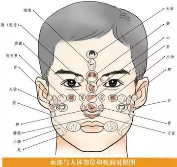 面诊、眼诊、鼻诊、耳诊、唇诊、舌诊、齿诊图……都收集齐了！