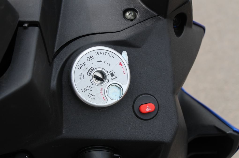 高颜值蚂蚱,漂亮巨型蚂蚱