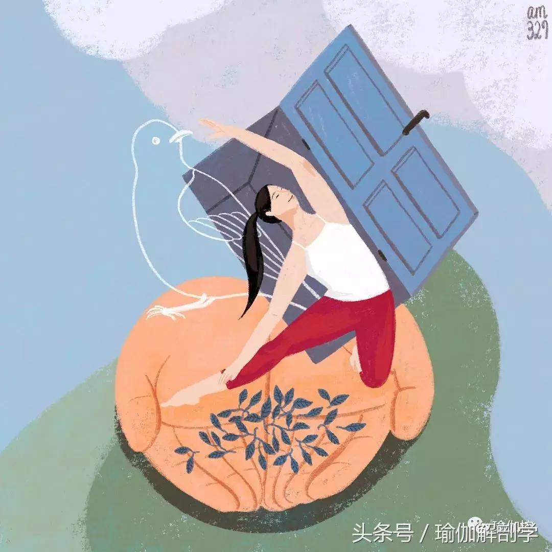 瑜伽初学者的7大禁忌,初学瑜伽的5大禁忌