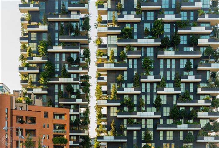 垂直森林绿化设计图,建设城市垂直绿化的好处