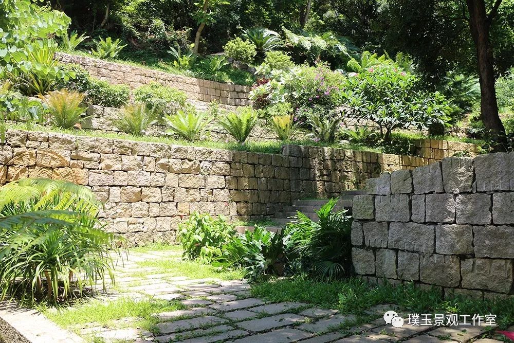 最漂亮的铁树开花,铁树开花深圳