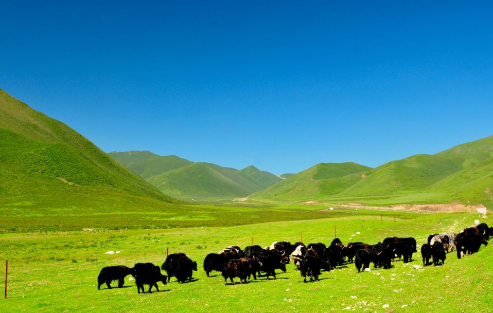 青海湖茶卡盐湖的路线,青海湖茶卡盐湖大草原