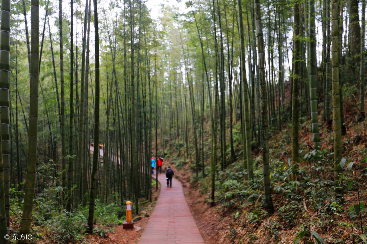 秋季出行攻略,秋季旅行到贵州哪里好玩