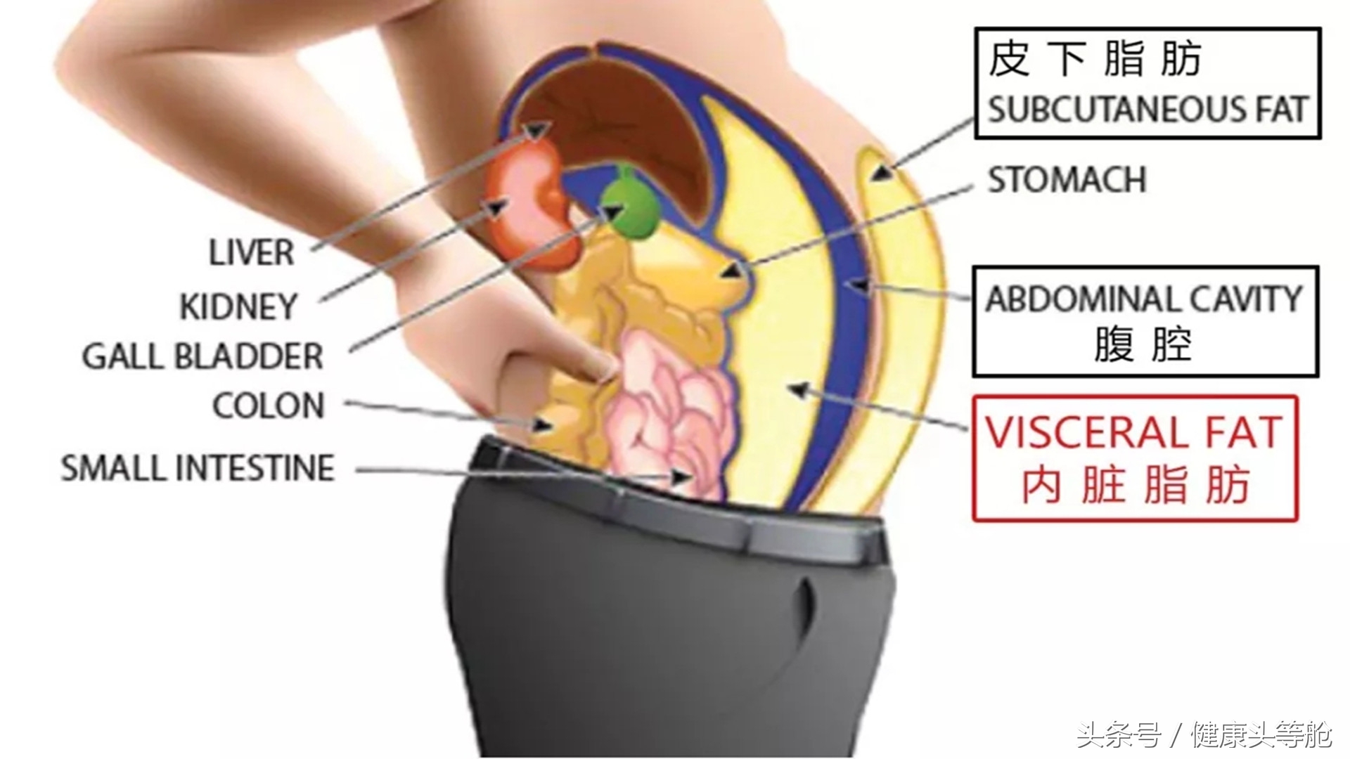 不要再在意自己胖瘦,别再纠结体重秤上的数字啦