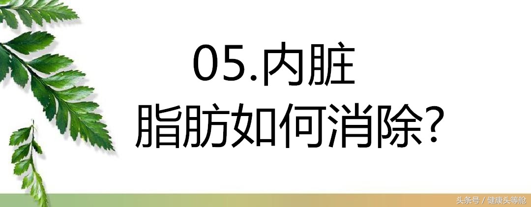 不要再在意自己胖瘦,别再纠结体重秤上的数字啦