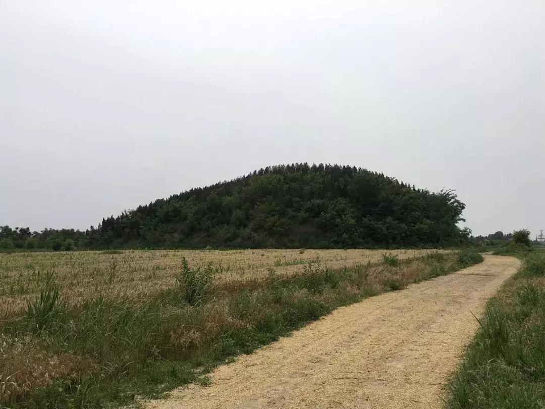 淄博齐文化发源地,淄博齐文化历史介绍