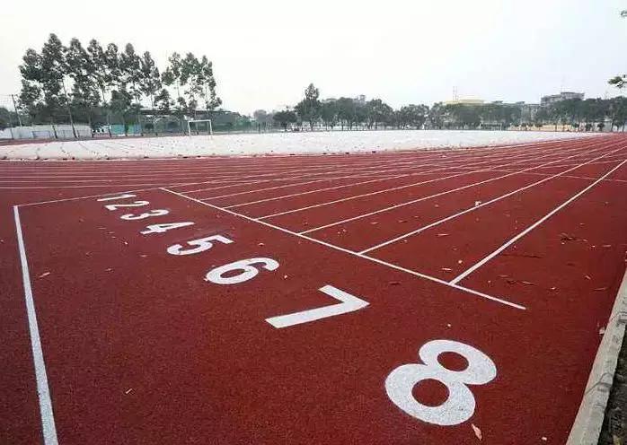 成都155个公共体育场馆免费,成都体育场有序开放