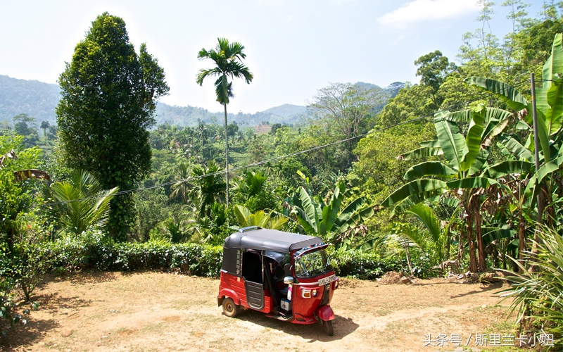 斯里兰卡宝石套路,当地华人讲述斯里兰卡现状