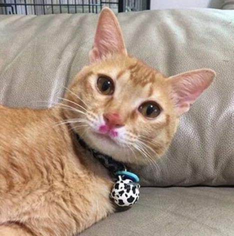 给女朋友的七夕礼物口红推荐,七夕情人节礼物最佳口红