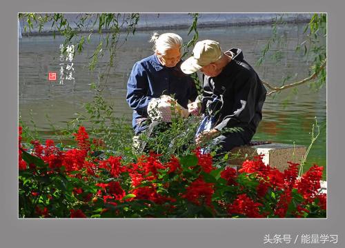 成语常识高考必背知识点,语文成语高考必背知识点