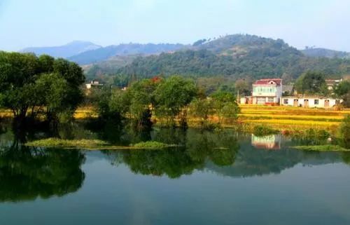 安徽被表扬的城市名单,安徽省政府通告最新