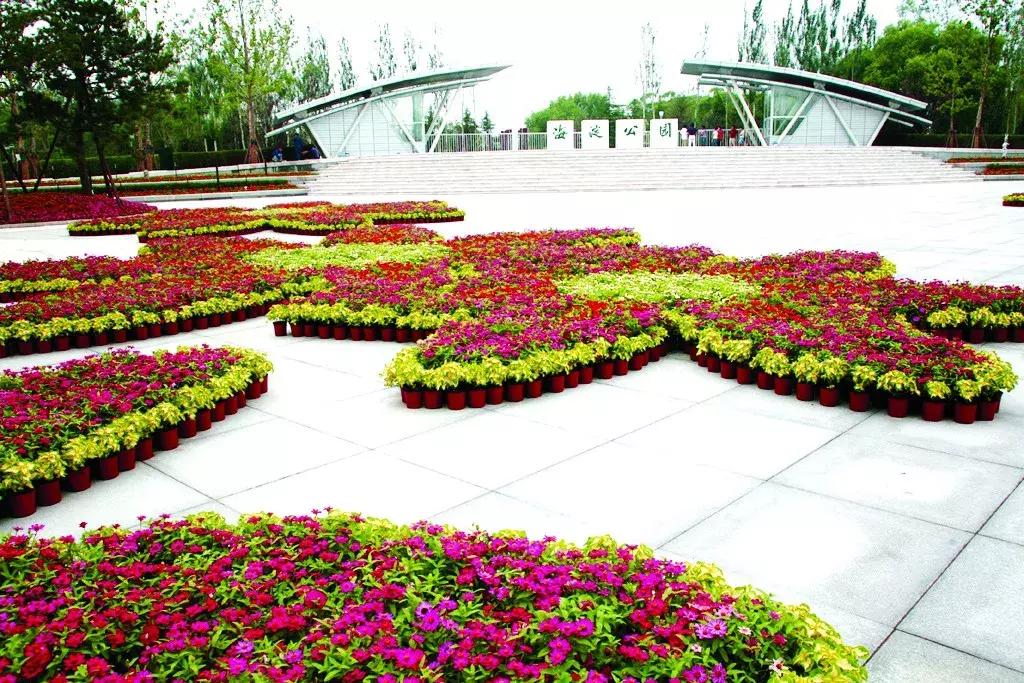 老照片北京奥运会,奥运十年中国十年