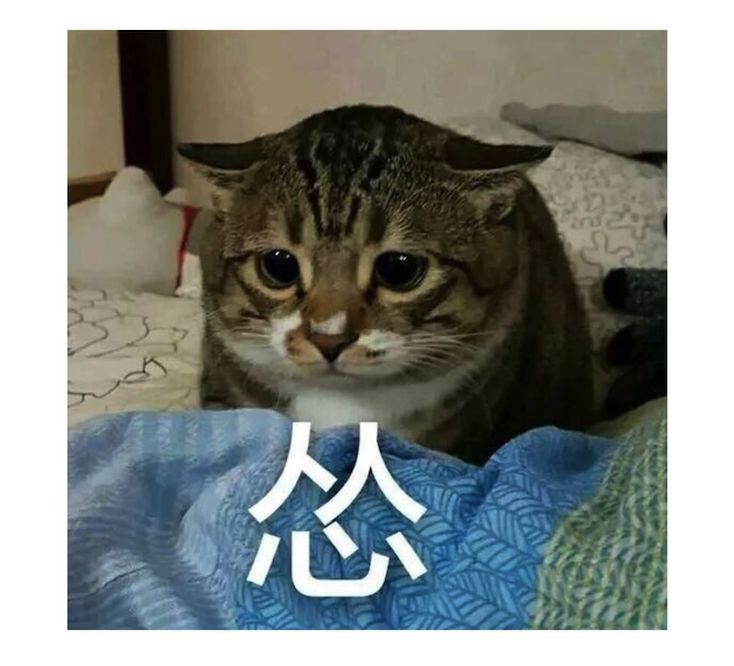 空调该怎么用最省电,空调怎么使用省电又实用