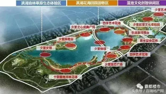 合肥新站区有没有希望引进名校,新站以后会成为国家级高新区吗