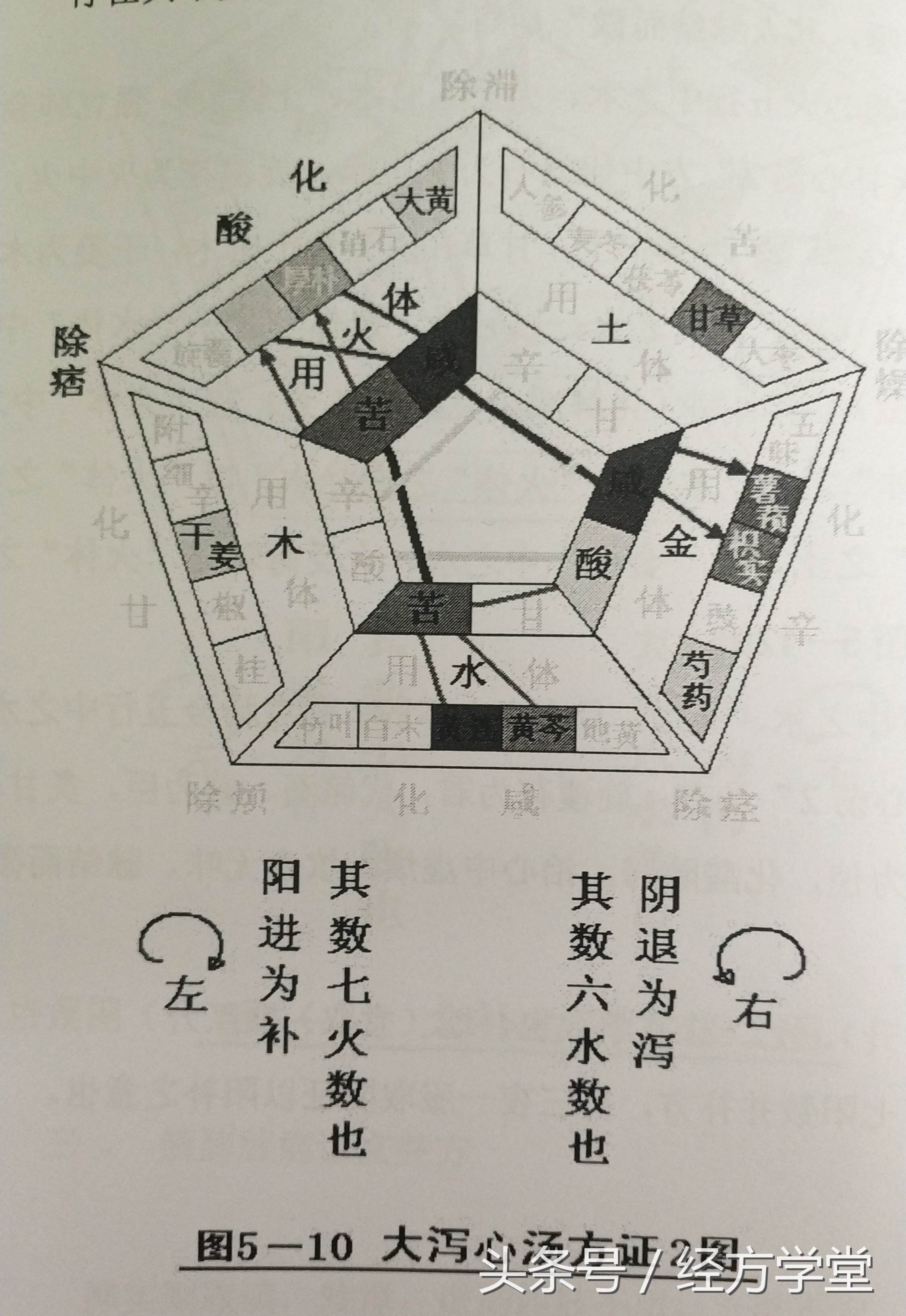 辅行诀组方结构图解,辅行诀组方用药规律图