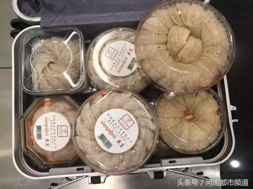 中国入境可以带燕窝吗,个人出国旅游可以带燕窝入境吗