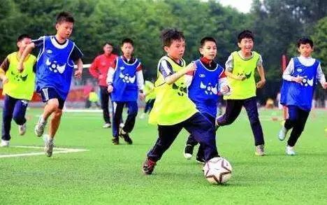 点赞邢台市,点赞河北邢台市宁晋县