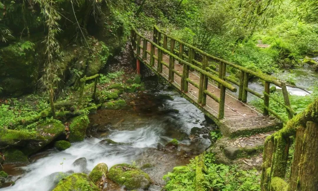 德阳周边玩水避暑民宿,德阳附近哪里有凉快又好玩的地方