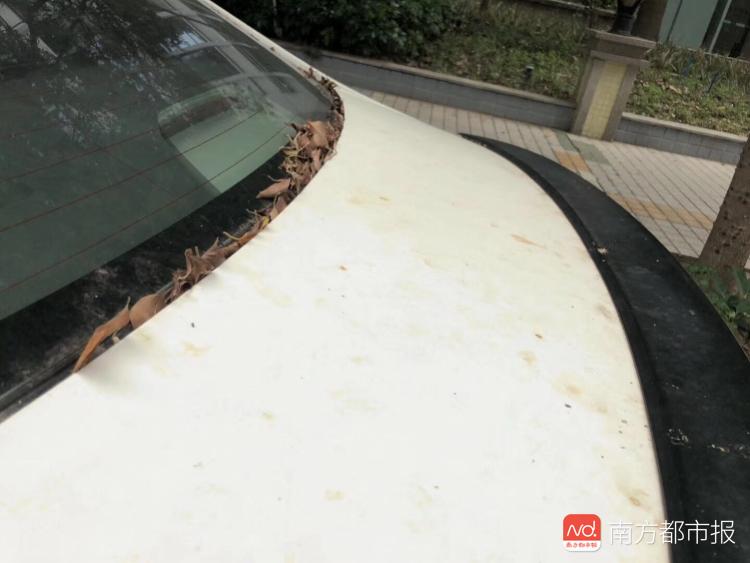 汽车镀晶镀膜会伤车漆吗,汽车镀膜镀晶有什么弊端