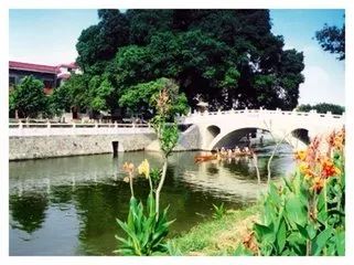 快来pick！一起助力佛山这条村冲击“2018中国最美村镇”！