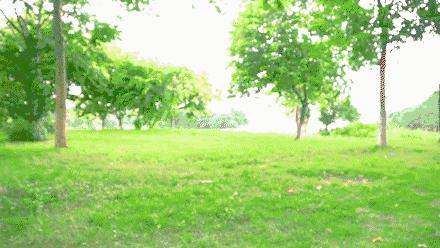 外卖寿司哪家好吃,外卖寿司界的战斗机