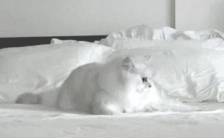 你享受过免费叫醒服务吗,你享受过免费的叫醒服务吗