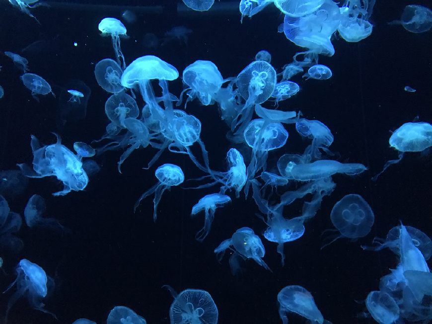这个夏天带上ta来场浪漫的旅行,带上心爱的ta来一次浪漫之旅