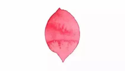 水彩纸全攻略！别拿A4纸画水彩了！