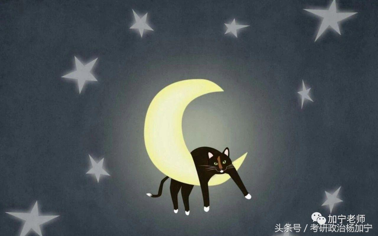 毛特论学到了什么,毛特必背知识点