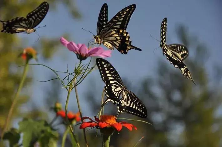 端午游玩攻略儿童水世界,亲子游玩水世界