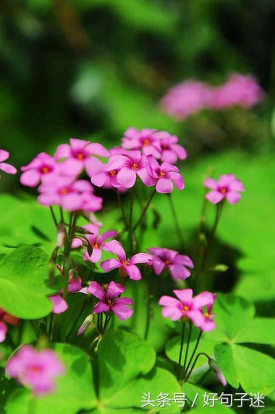 经典语录个性签名人生感悟,简短精辟的个性签名句子精辟走心