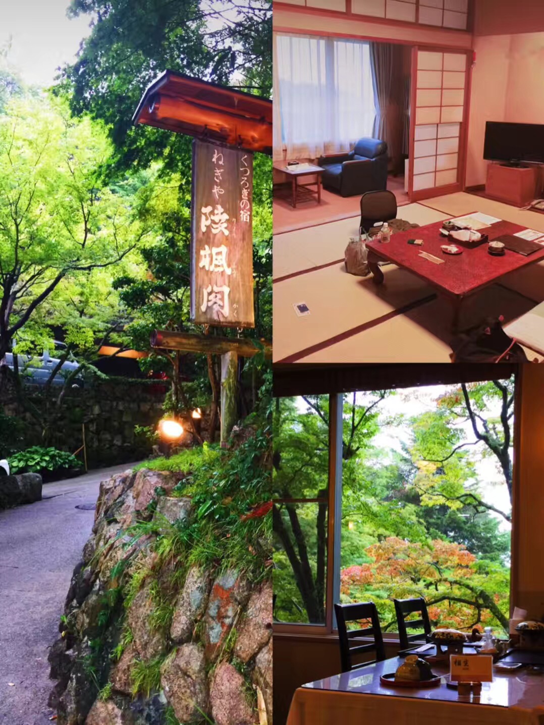 日本笔记,日本自由行亲身经历